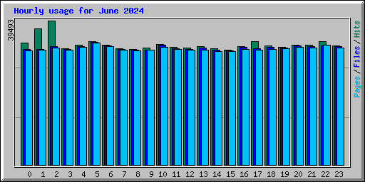 Hourly usage for June 2024